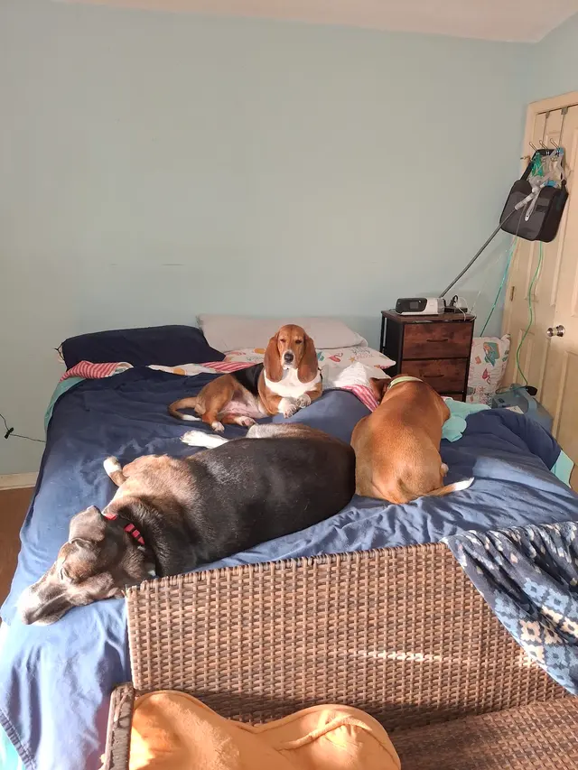 Acadian Veterinary Clinic — customer photo 9