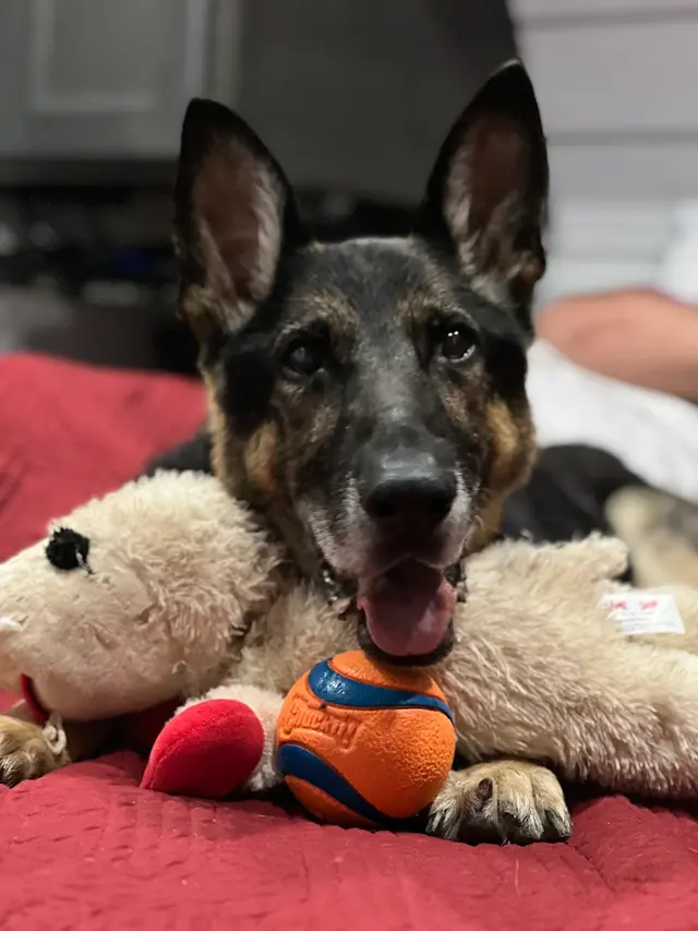 Acadian Veterinary Clinic — customer photo 6