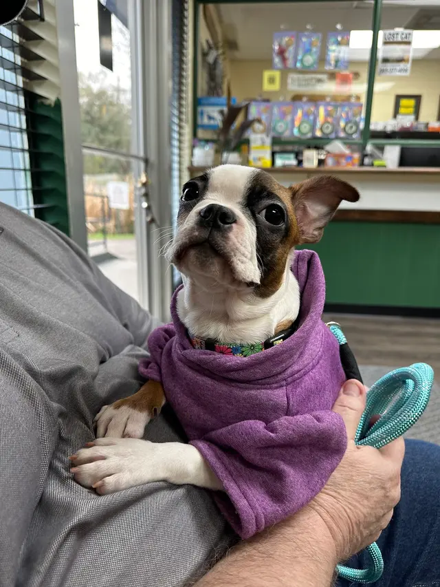 Acadian Veterinary Clinic — customer photo 5