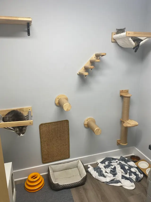 Gause Paws Pet Resort and Boutique — customer photo 4