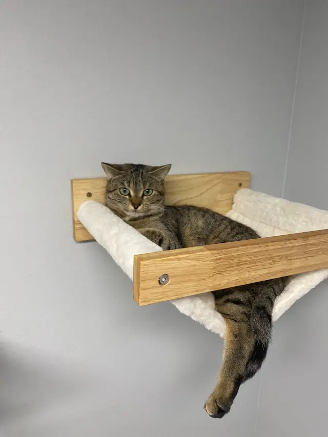 Gause Paws Pet Resort and Boutique — customer photo 8