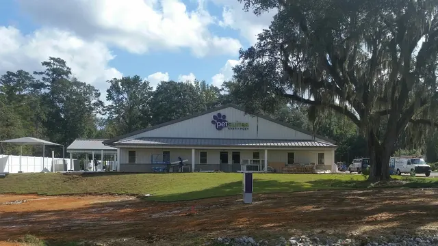 PetSuites Northshore — photo from the business 3