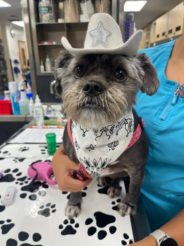 Banfield Pet Hospital — customer photo 2