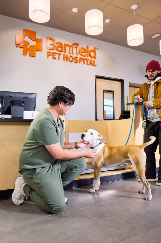 Banfield Pet Hospital — photo from the business 3