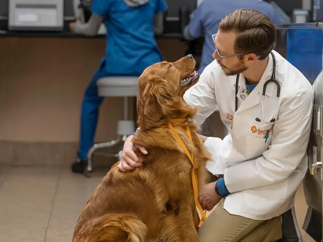 Banfield Pet Hospital — photo from the business 9