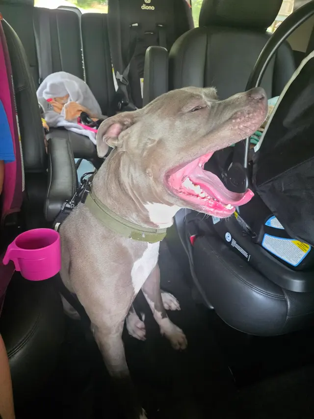 Banfield Pet Hospital — customer photo 8