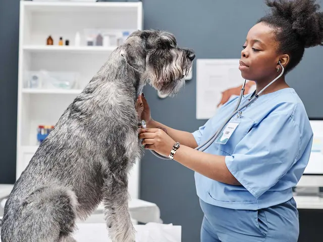 Banfield Pet Hospital — photo from the business 7