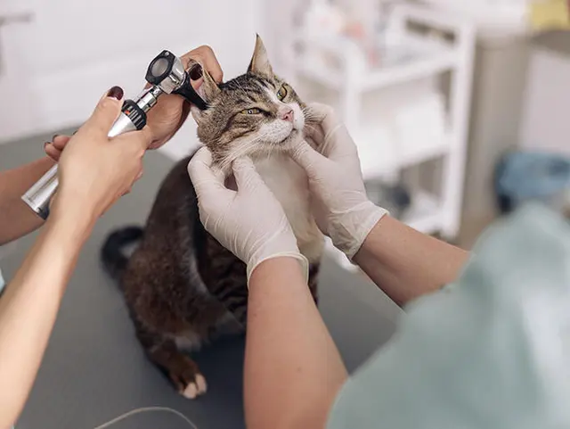 Banfield Pet Hospital — photo from the business 1