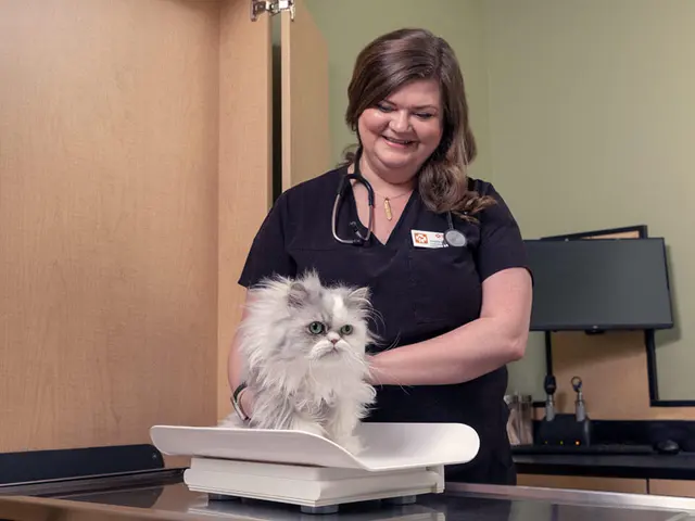 Banfield Pet Hospital — photo from the business 5