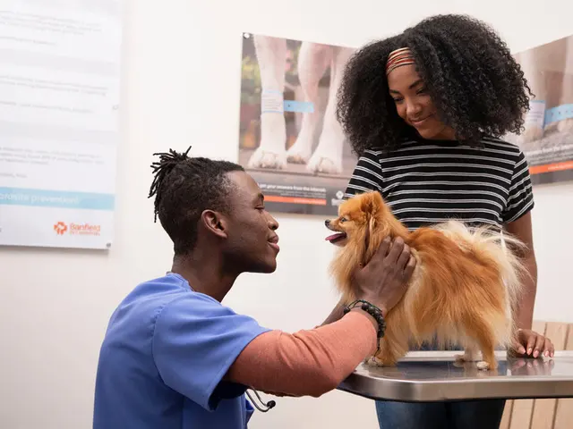 Banfield Pet Hospital — photo from the business 10