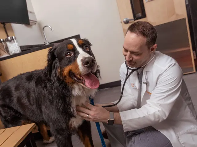 Banfield Pet Hospital — photo from the business 4