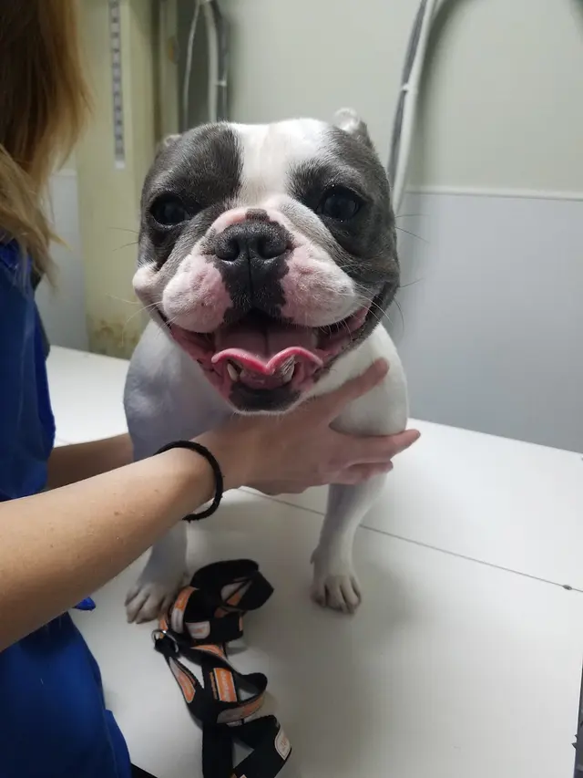 Gause Boulevard Veterinary Hospital — photo from the business 10