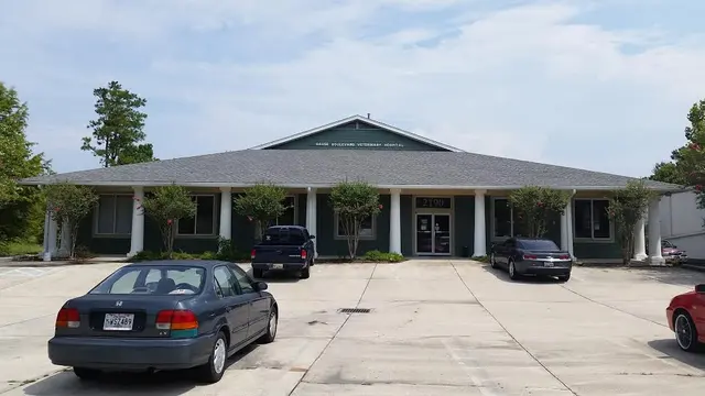 Gause Boulevard Veterinary Hospital — photo from the business 6
