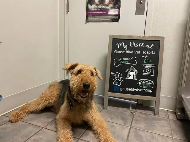 Gause Boulevard Veterinary Hospital — photo from the business 7