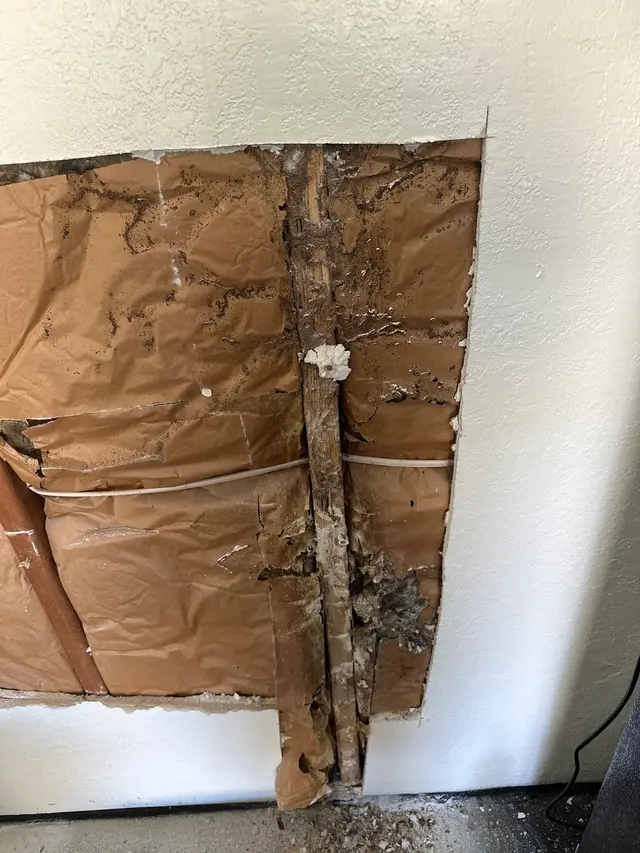 SiteGuard Inspection Services — customer photo 7