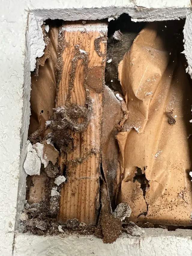 SiteGuard Inspection Services — customer photo 8