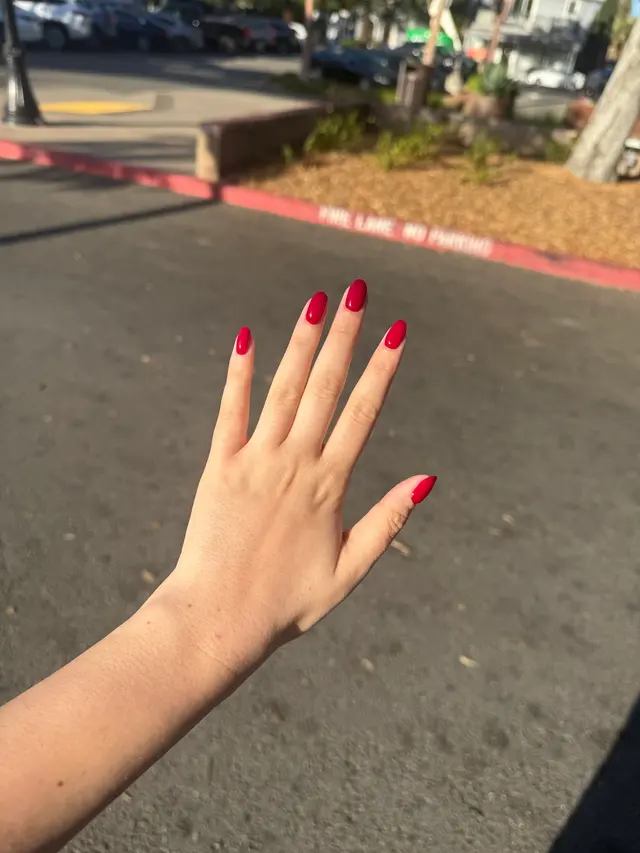 Customer photo from Sara's review
