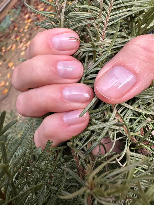 Customer photo from Elena's review