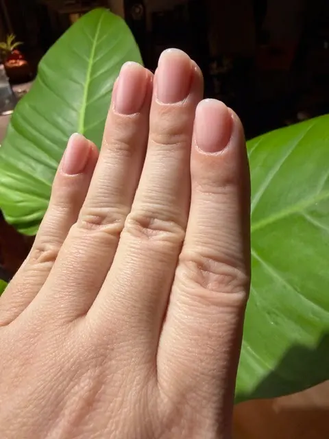 Customer photo from Heather's review