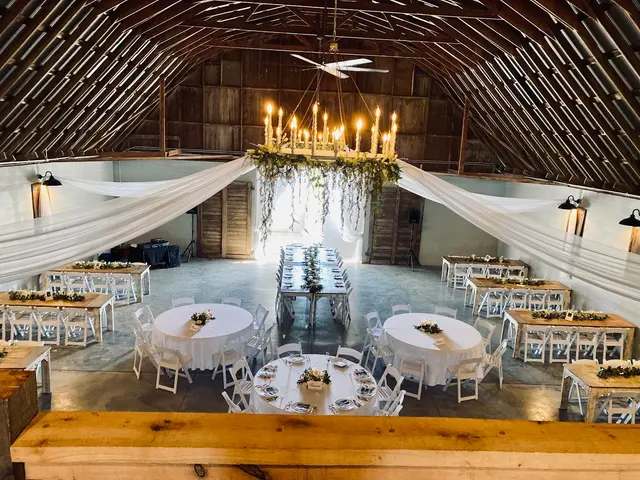 The Daisy Farm — photo from the business 4