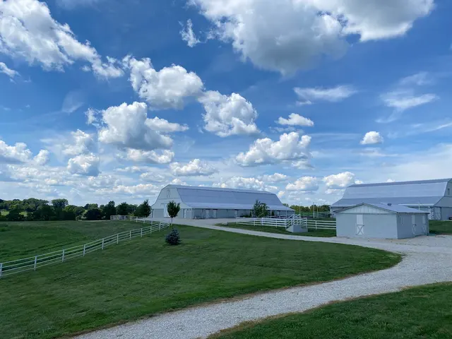 The Daisy Farm — photo from the business 2