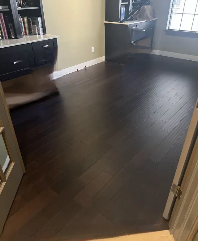 Carr's Flooring America - Casselberry — customer photo 6