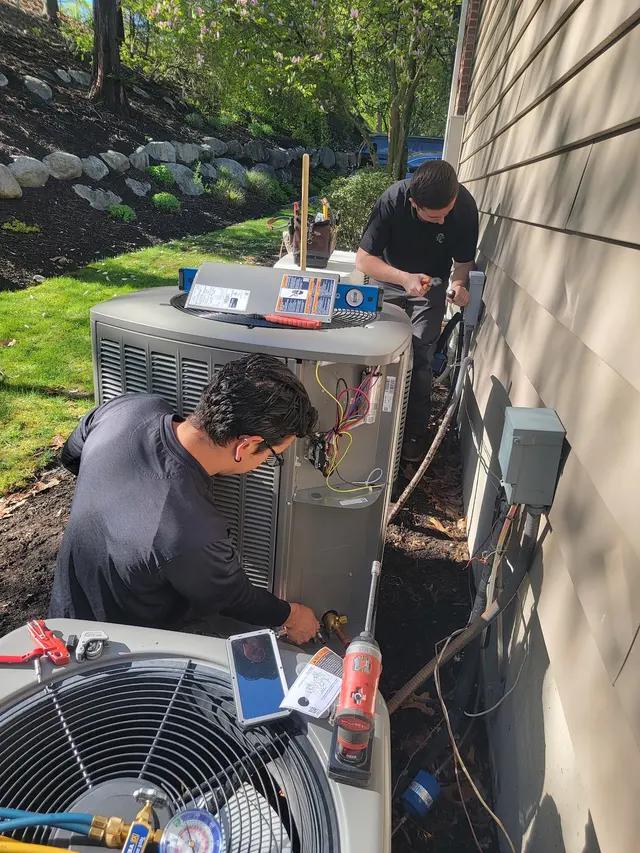 Reiner Group, Inc. — photo from the business 7