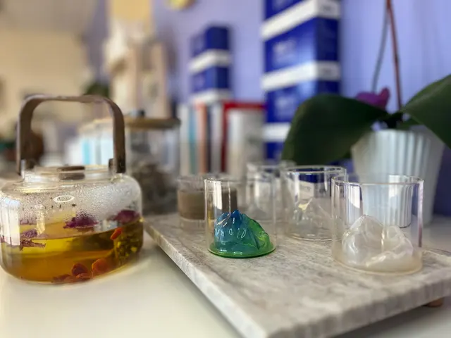 Iris Wellness Center - Acupuncture & Functional Medicine — photo from the business 12