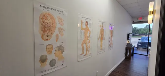Cinco Ranch Acupuncture Clinic — photo from the business 6