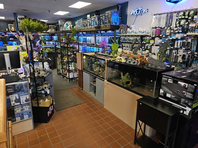 Sea Level — customer photo 3