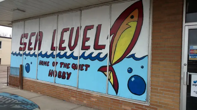 Sea Level — customer photo 12