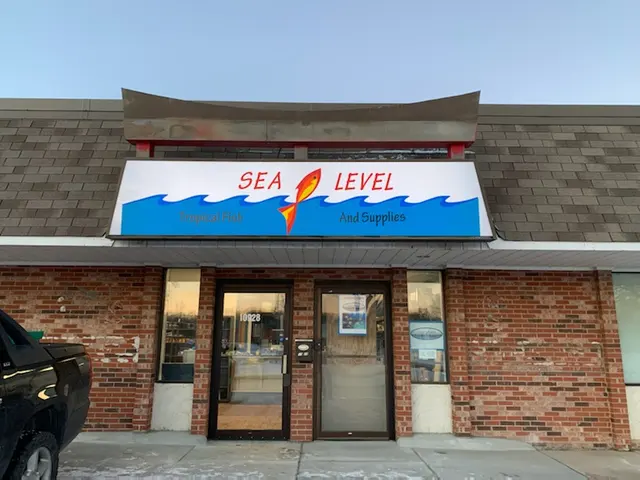 Sea Level — photo from the business 1