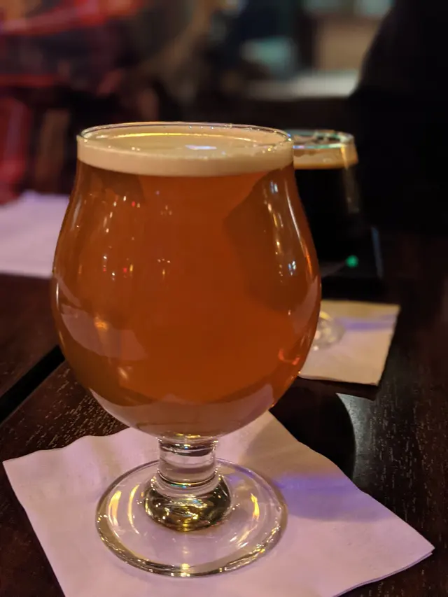 The Michigan Tap Room at Stardust — customer photo 3