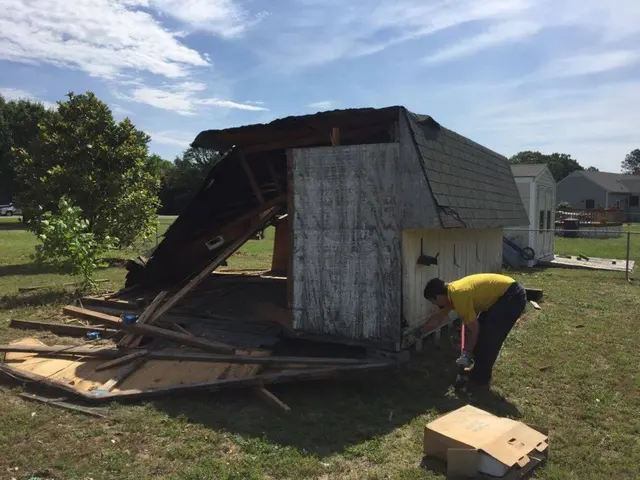 Junk Doctors — photo from the business 12