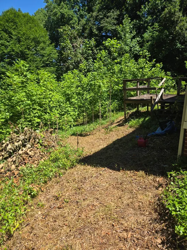 C&R Rubbish and Junk Removal LLC — customer photo 12