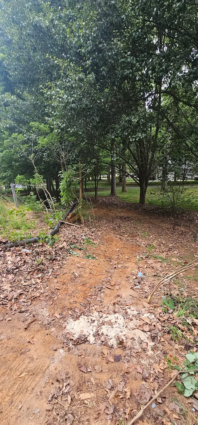 C&R Rubbish and Junk Removal LLC — photo from the business 2