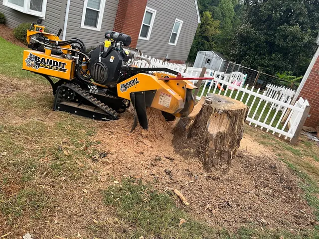 Wade’s Tree and Stump Removal — photo from the business 3