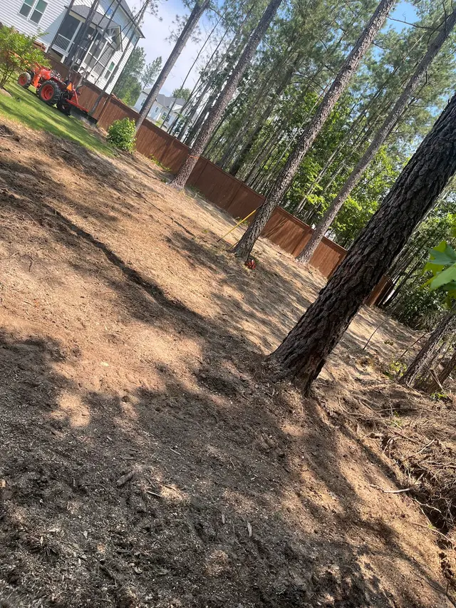 Wade’s Tree and Stump Removal — photo from the business 6