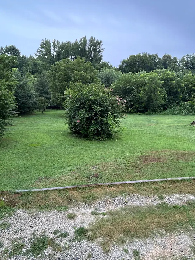 Customer photo of work by Wade’s Tree and Stump Removal, from D's review