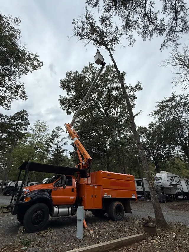 Wade’s Tree and Stump Removal — photo from the business 7