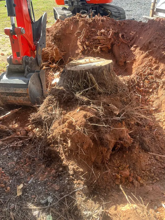 Wade’s Tree and Stump Removal — photo from the business 10