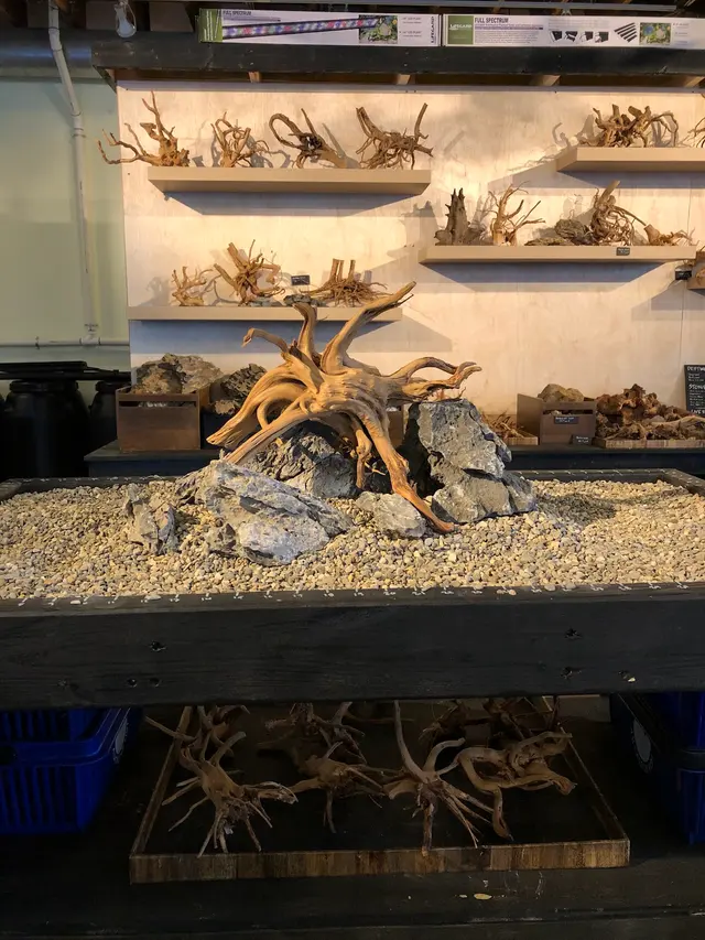 Rivershore Aquariums — photo from the business 9