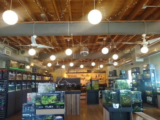 Rivershore Aquariums — photo from the business 1