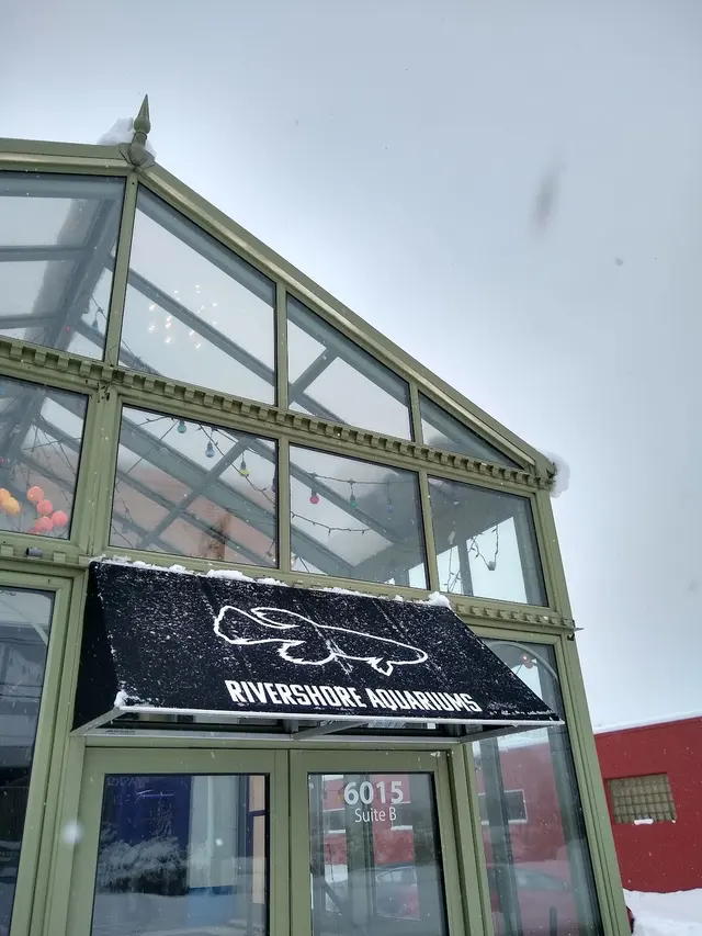 Rivershore Aquariums — photo from the business 6
