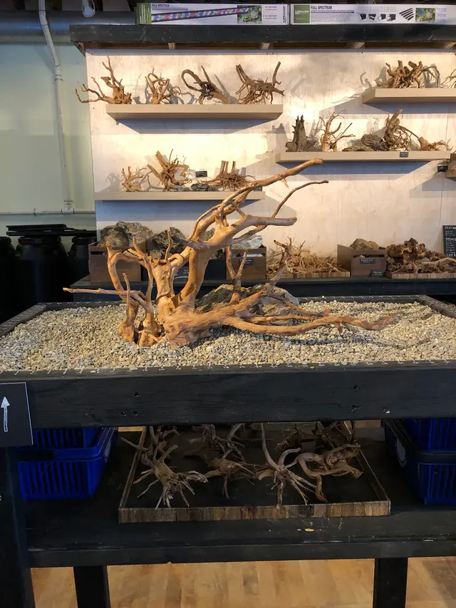 Rivershore Aquariums — photo from the business 5