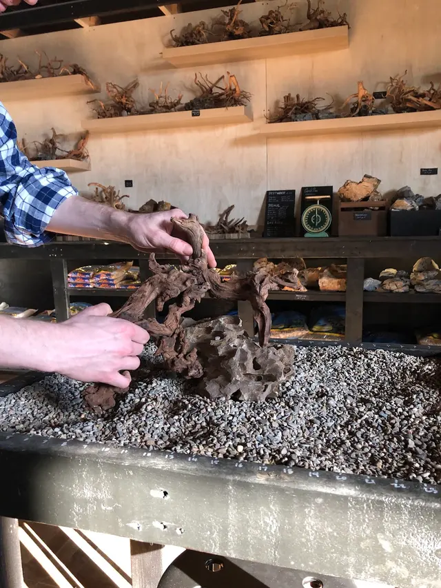 Rivershore Aquariums — photo from the business 7