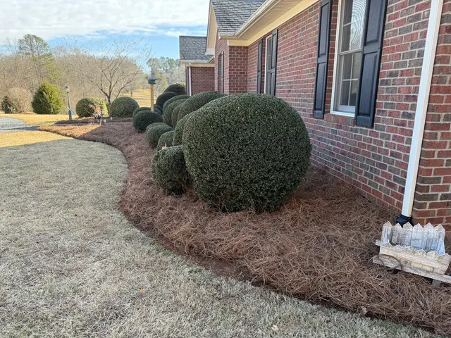 All About Perfection Property Maintenance & Construction LLC — photo from the business 8