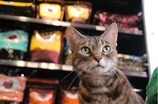 Chuck & Don's Pet Food & Supplies — photo from the business 10