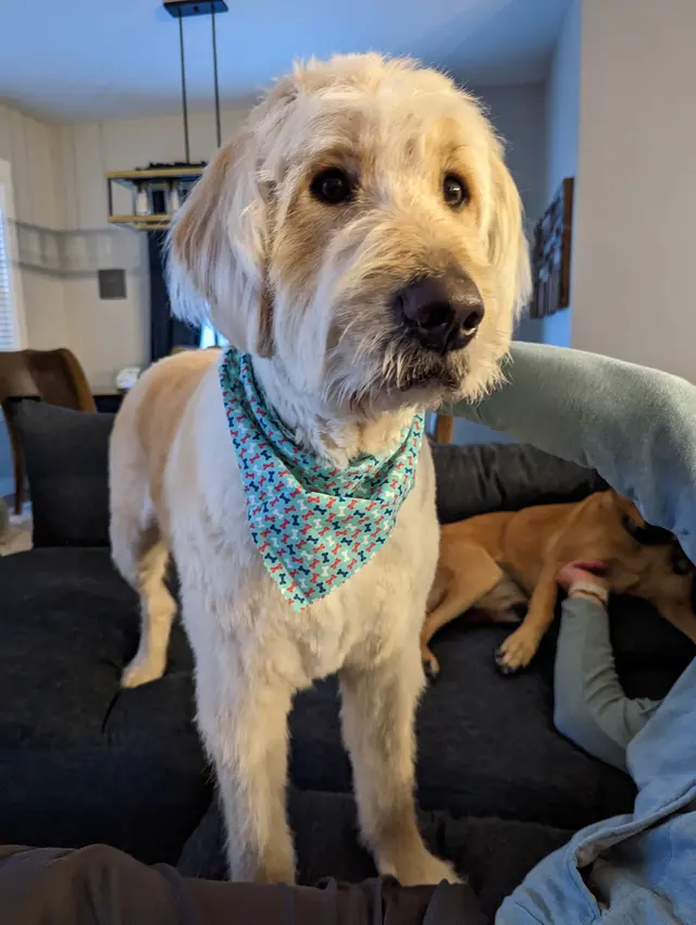Chuck & Don's Pet Food & Supplies — customer photo 6