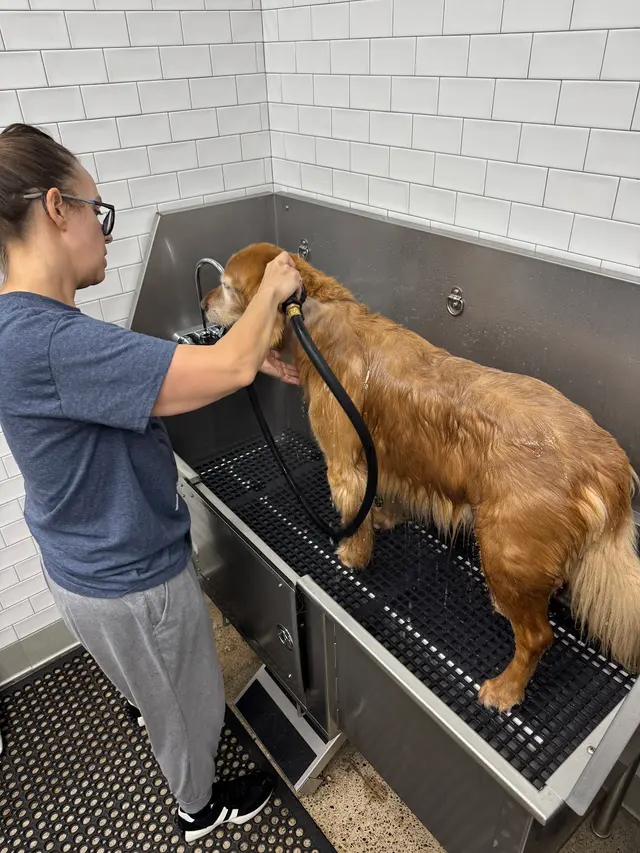 Customer photo of work by Chuck & Don's Pet Food & Supplies, from Christine Erdman's review